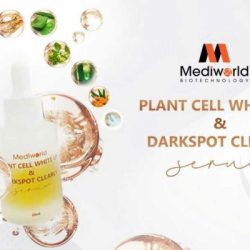 Serum Mediworld sáng da mờ thâm nám Plant Cell White Up&Darkspot Clearly
