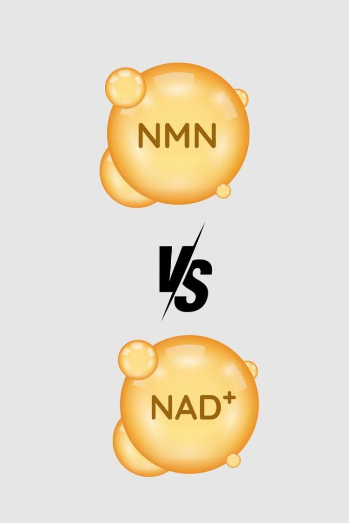 NMN Có Tác Dụng Gì