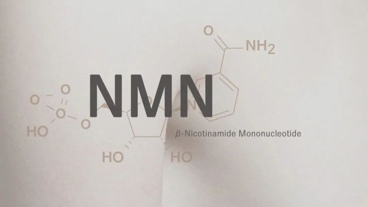 NMN có giúp sống lâu hơn không